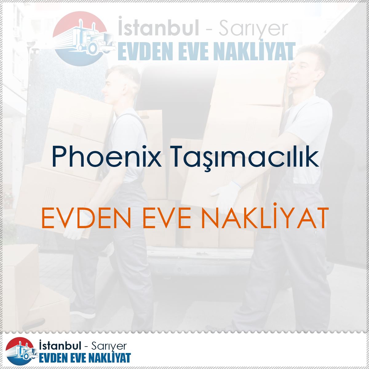 Phoenix Taşımacılık : Kapak Görseli